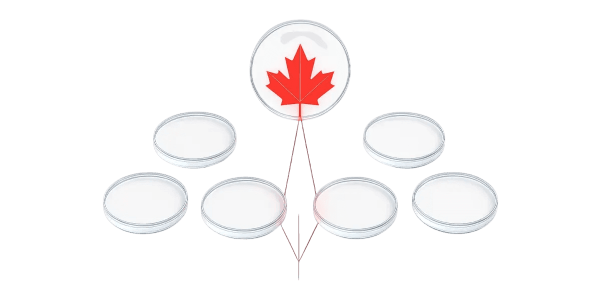 Why Protected Windows Extend Your Laser’s Life